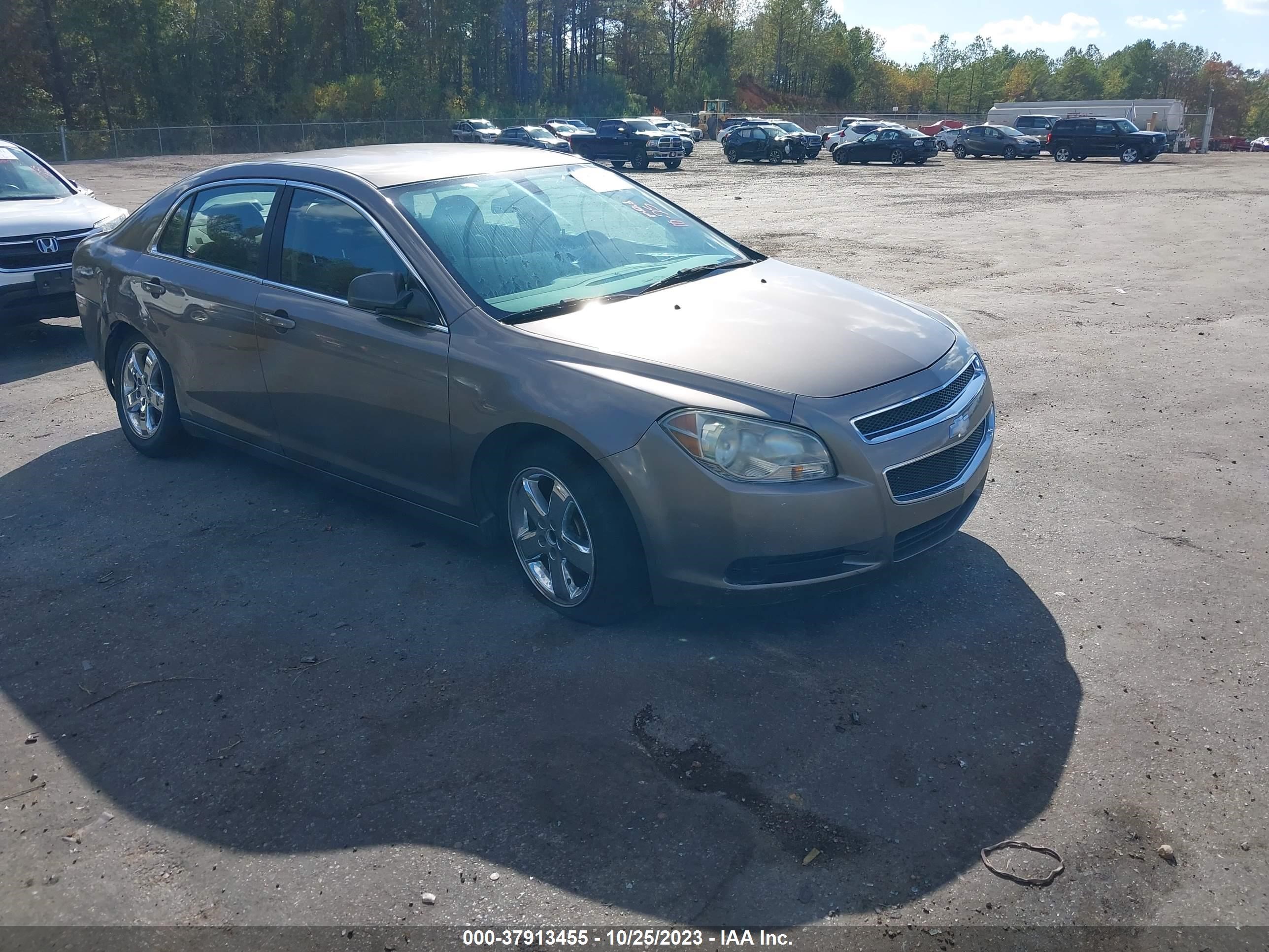 Photo 0 VIN: 1G1ZA5E02AF256075 - CHEVROLET MALIBU 