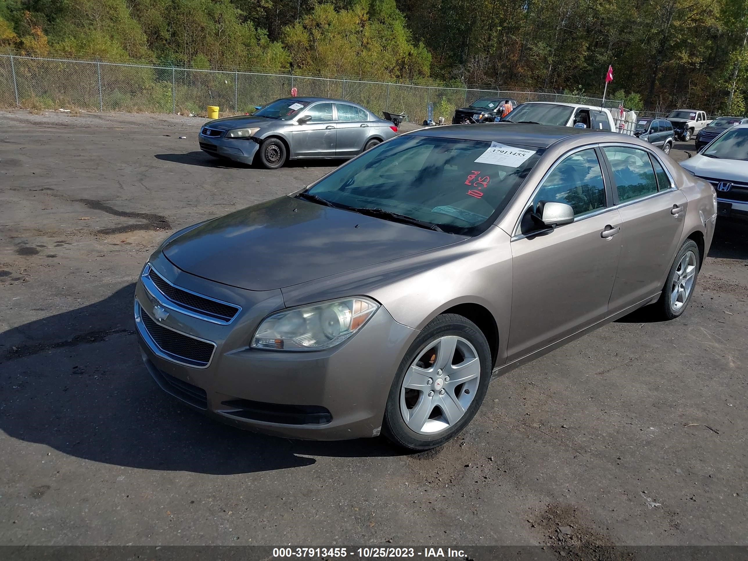 Photo 1 VIN: 1G1ZA5E02AF256075 - CHEVROLET MALIBU 