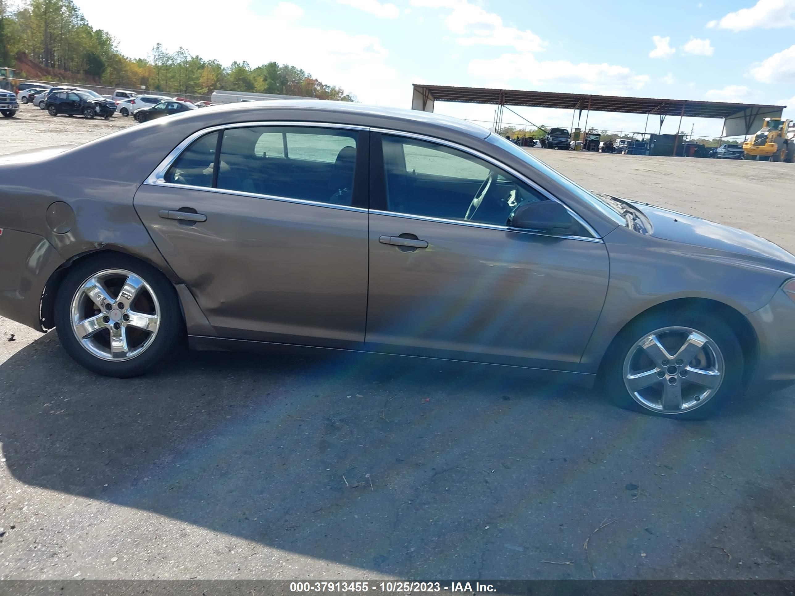 Photo 12 VIN: 1G1ZA5E02AF256075 - CHEVROLET MALIBU 