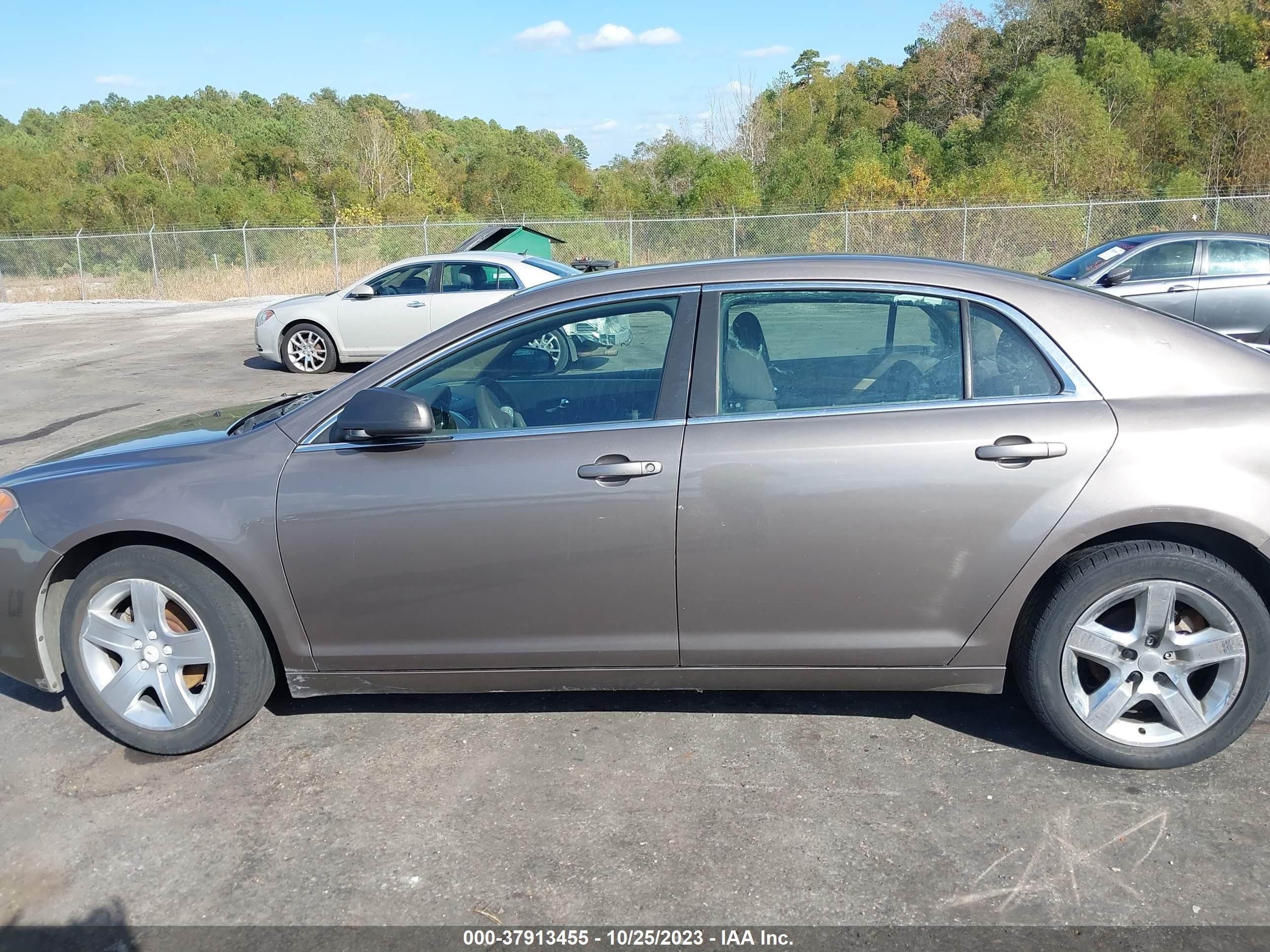 Photo 13 VIN: 1G1ZA5E02AF256075 - CHEVROLET MALIBU 