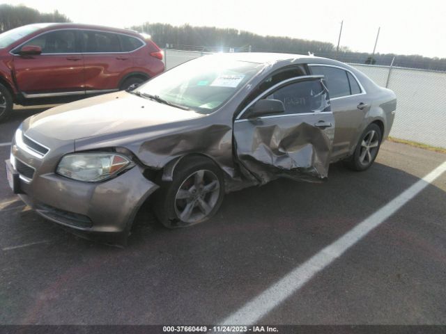 Photo 1 VIN: 1G1ZA5E05AF182246 - CHEVROLET MALIBU 