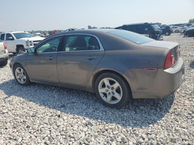 Photo 1 VIN: 1G1ZA5E08AF168051 - CHEVROLET MALIBU 