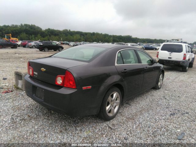 Photo 3 VIN: 1G1ZA5E10BF174033 - CHEVROLET MALIBU 