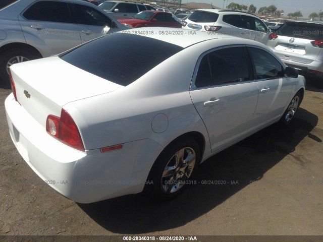 Photo 3 VIN: 1G1ZA5E11BF308323 - CHEVROLET MALIBU 