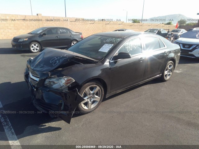 Photo 1 VIN: 1G1ZA5E12BF145942 - CHEVROLET MALIBU 