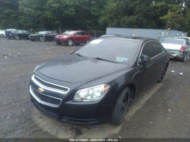 Photo 1 VIN: 1G1ZA5E13BF182210 - CHEVROLET MALIBU 