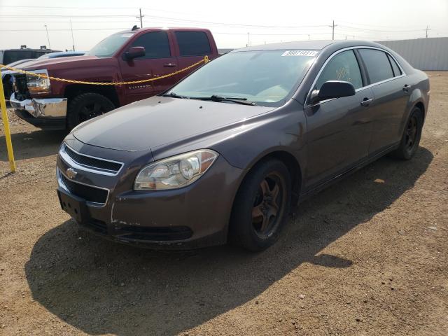 Photo 1 VIN: 1G1ZA5E13BF182398 - CHEVROLET MALIBU LS 