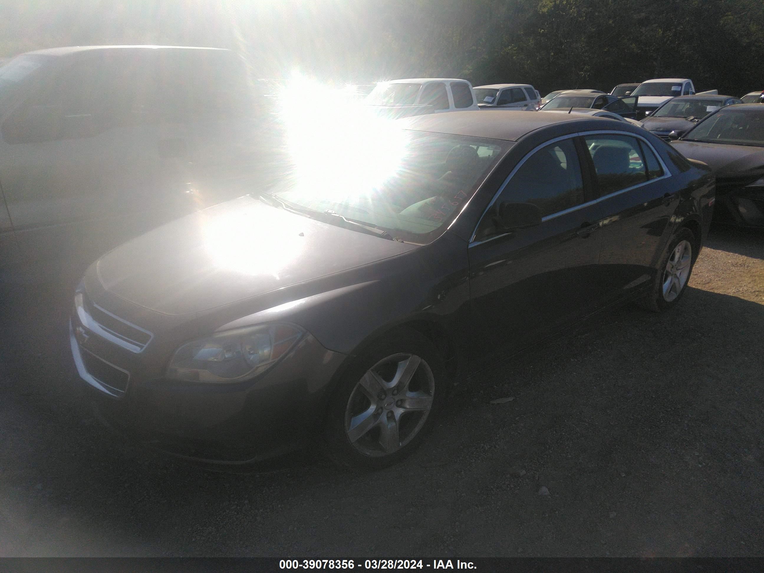 Photo 1 VIN: 1G1ZA5E16BF345657 - CHEVROLET MALIBU 