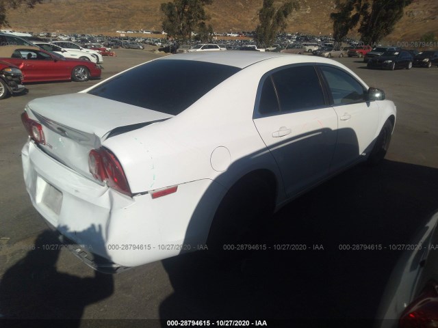 Photo 3 VIN: 1G1ZA5E19BF351842 - CHEVROLET MALIBU 