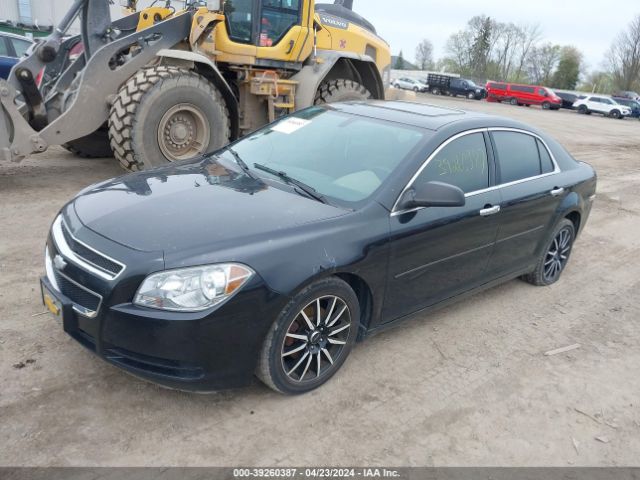 Photo 1 VIN: 1G1ZA5E1XBF105950 - CHEVROLET MALIBU 