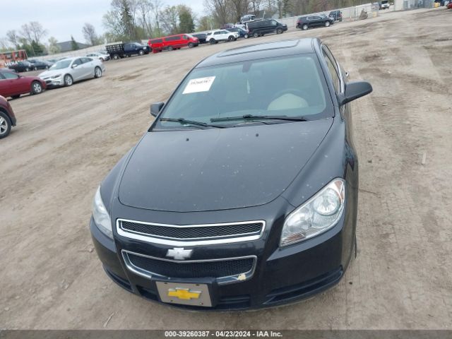 Photo 5 VIN: 1G1ZA5E1XBF105950 - CHEVROLET MALIBU 