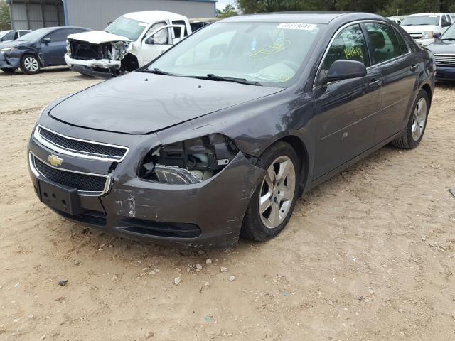 Photo 1 VIN: 1G1ZA5E1XBF339165 - CHEVROLET MALIBU LS 