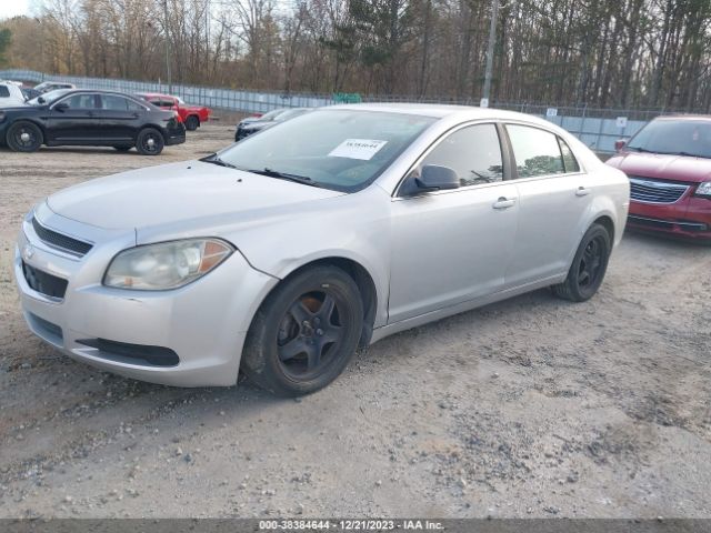 Photo 1 VIN: 1G1ZA5EB0AF155084 - CHEVROLET MALIBU 