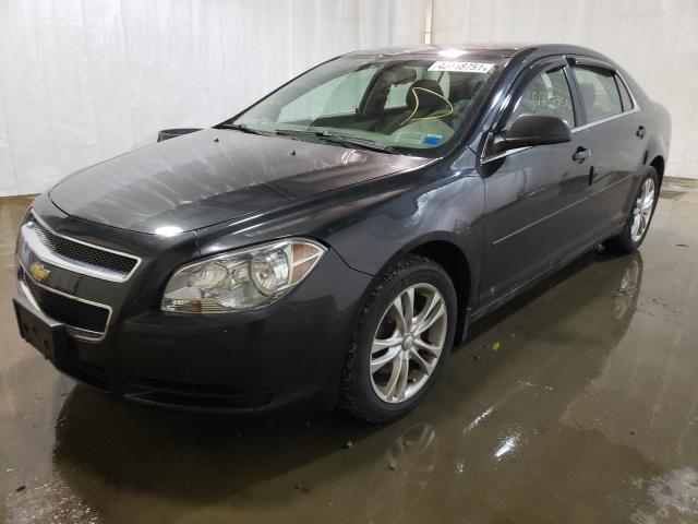 Photo 1 VIN: 1G1ZA5EB8AF253604 - CHEVROLET MALIBU LS 