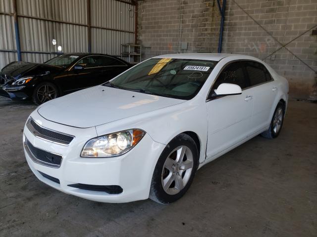 Photo 1 VIN: 1G1ZA5EU0BF148350 - CHEVROLET MALIBU LS 