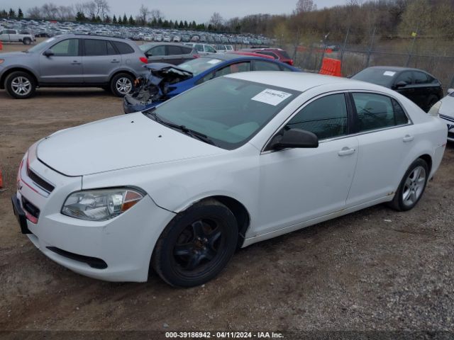 Photo 1 VIN: 1G1ZA5EU0BF322224 - CHEVROLET MALIBU 