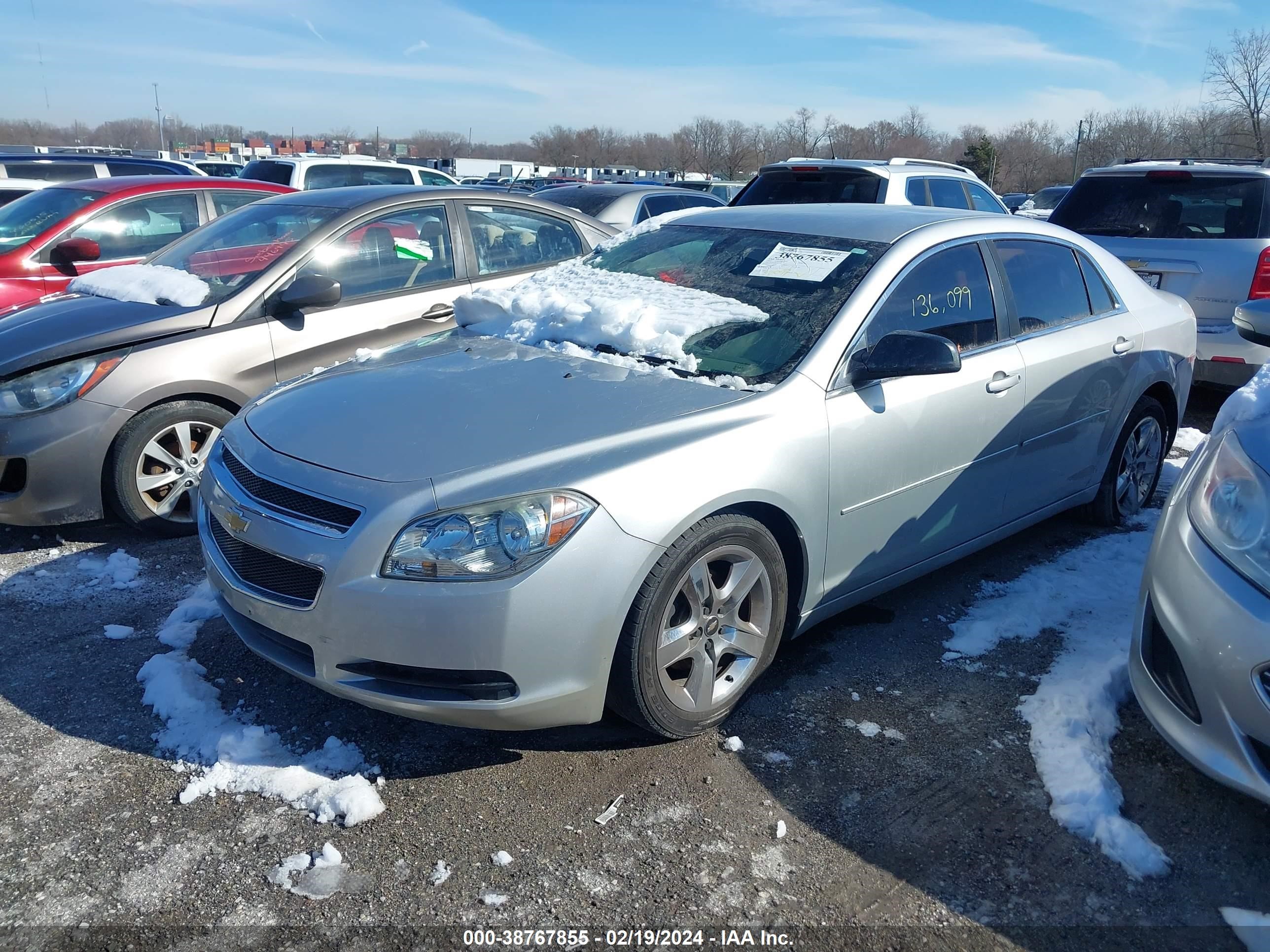 Photo 1 VIN: 1G1ZA5EU0CF392937 - CHEVROLET MALIBU 