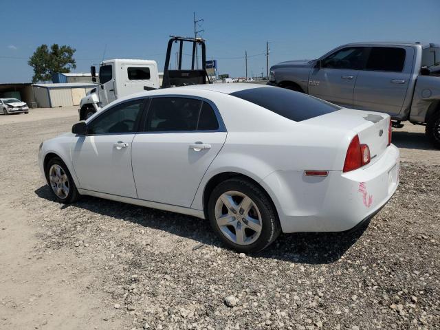 Photo 1 VIN: 1G1ZA5EU2BF164579 - CHEVROLET MALIBU LS 