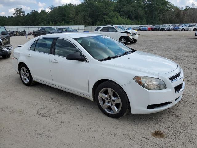 Photo 3 VIN: 1G1ZA5EU2CF290667 - CHEVROLET MALIBU LS 