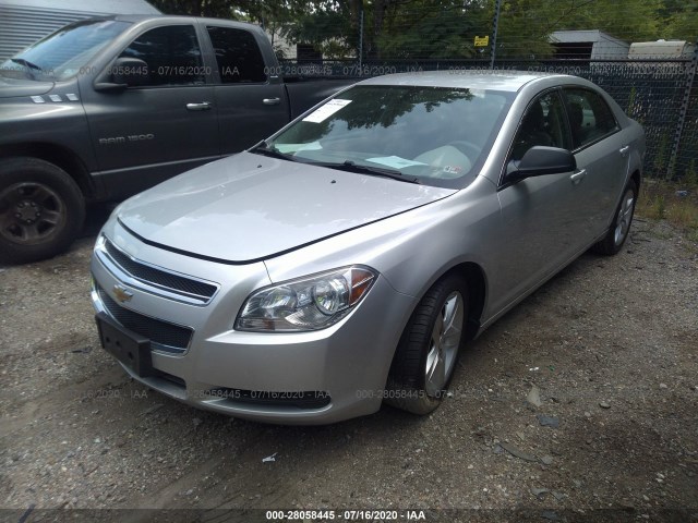 Photo 1 VIN: 1G1ZA5EU3BF304669 - CHEVROLET MALIBU 