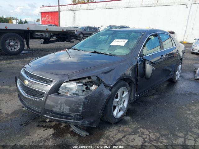 Photo 1 VIN: 1G1ZA5EU3BF334559 - CHEVROLET MALIBU 