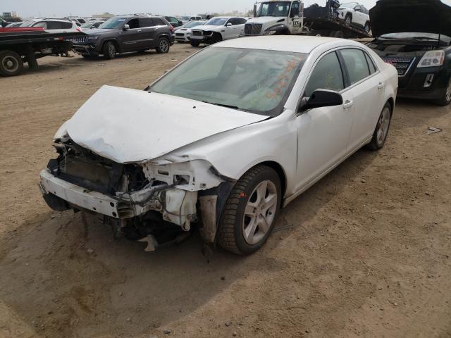 Photo 1 VIN: 1G1ZA5EU3CF192179 - CHEVROLET MALIBU LS 