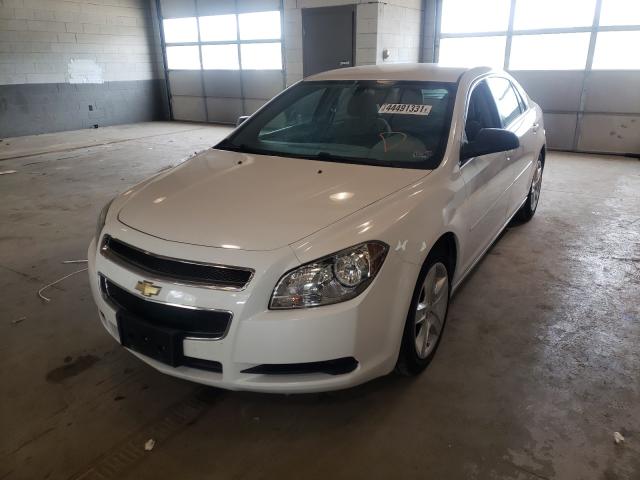 Photo 1 VIN: 1G1ZA5EU3CF391023 - CHEVROLET MALIBU LS 