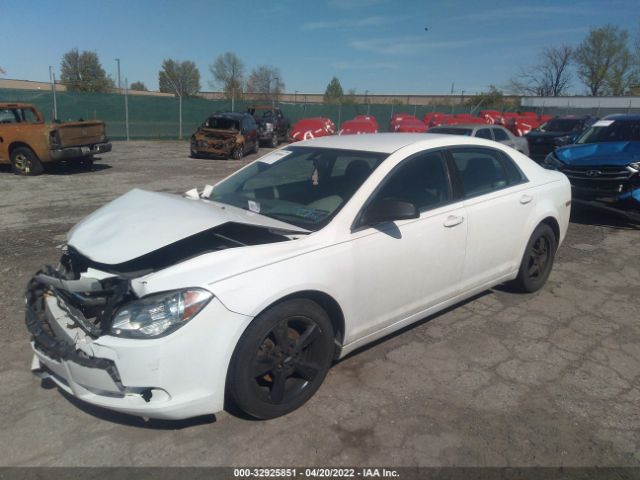 Photo 1 VIN: 1G1ZA5EU4BF306057 - CHEVROLET MALIBU 