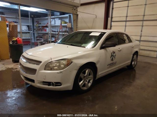 Photo 1 VIN: 1G1ZA5EU4CF166240 - CHEVROLET MALIBU 