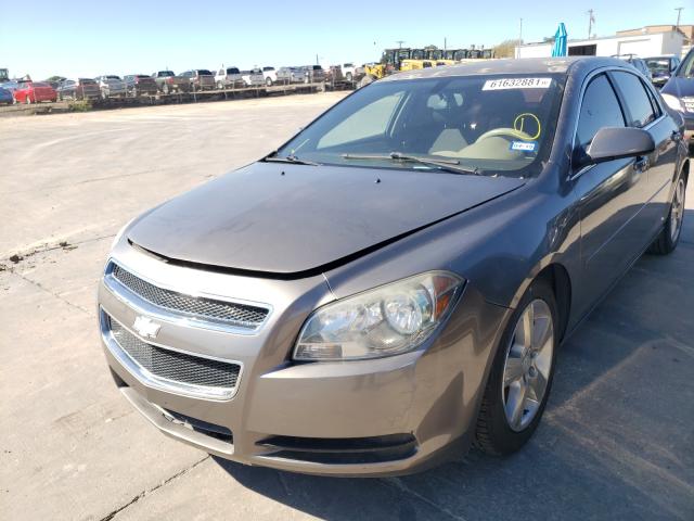 Photo 1 VIN: 1G1ZA5EU5BF135447 - CHEVROLET MALIBU LS 