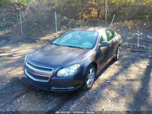 Photo 1 VIN: 1G1ZA5EU5BF248055 - CHEVROLET MALIBU 