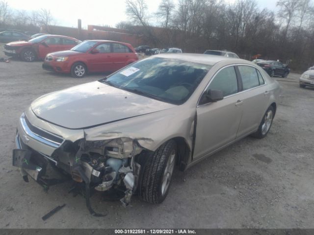 Photo 1 VIN: 1G1ZA5EU5BF344106 - CHEVROLET MALIBU 