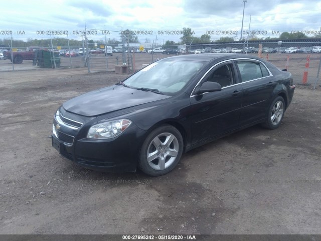 Photo 1 VIN: 1G1ZA5EU5CF388429 - CHEVROLET MALIBU 