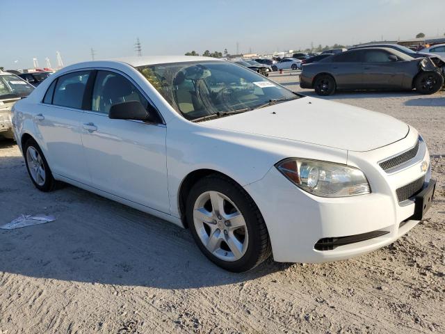 Photo 3 VIN: 1G1ZA5EU6CF216877 - CHEVROLET MALIBU LS 