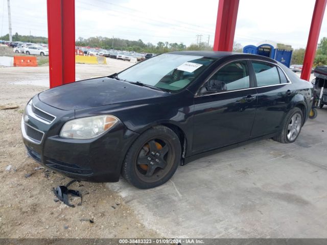 Photo 1 VIN: 1G1ZA5EU7BF123686 - CHEVROLET MALIBU 