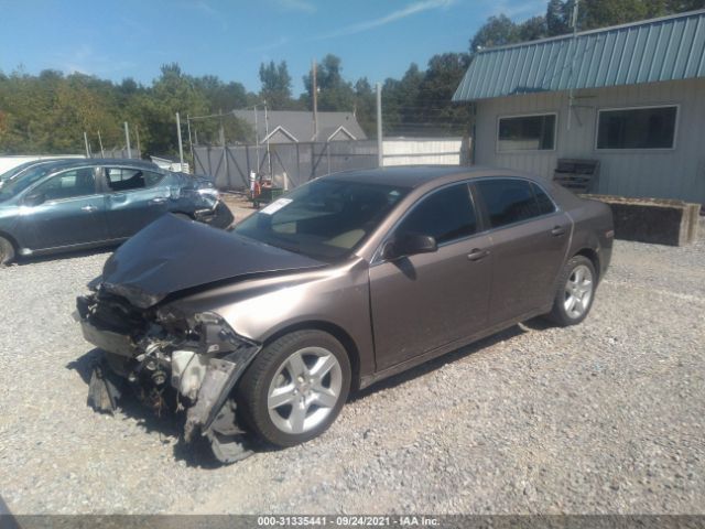 Photo 1 VIN: 1G1ZA5EU8BF135250 - CHEVROLET MALIBU 