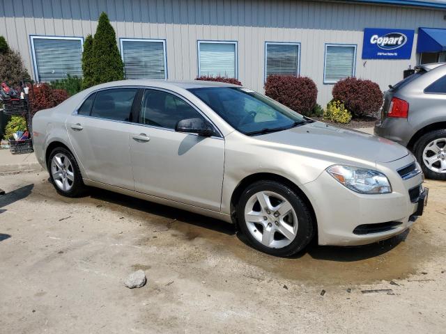 Photo 3 VIN: 1G1ZA5EU8BF338025 - CHEVROLET MALIBU 