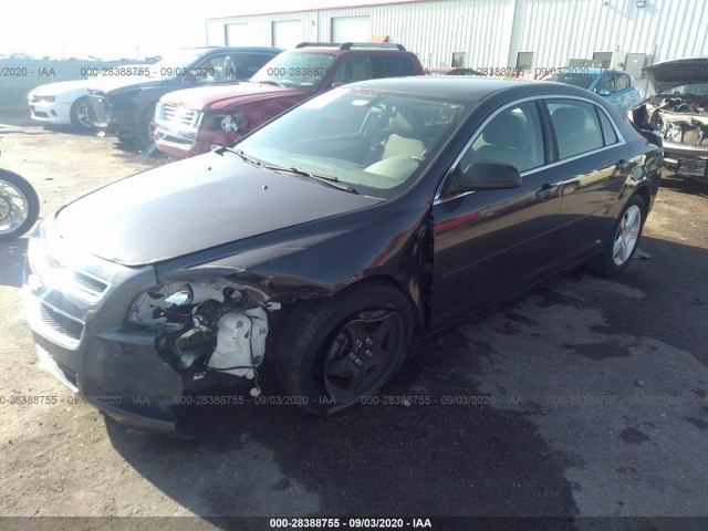 Photo 1 VIN: 1G1ZA5EU8CF389381 - CHEVROLET MALIBU 