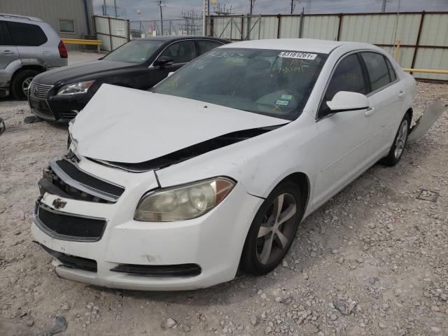 Photo 1 VIN: 1G1ZA5EUXBF142491 - CHEVROLET MALIBU LS 