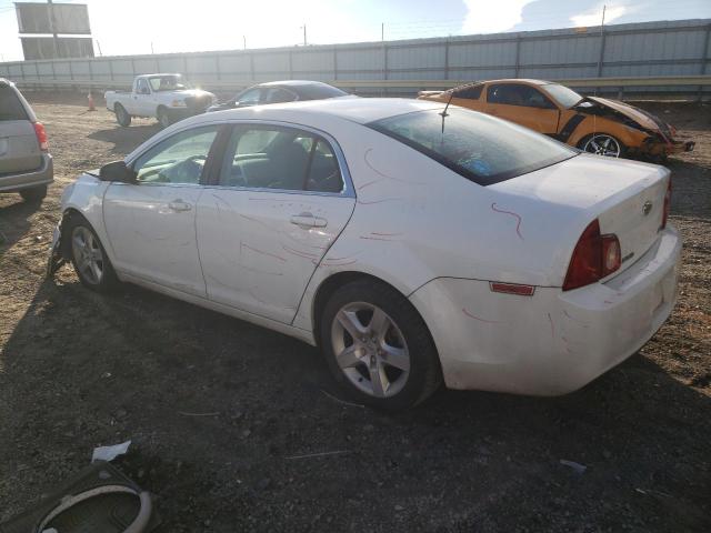 Photo 1 VIN: 1G1ZA5EUXBF230005 - CHEVROLET MALIBU 