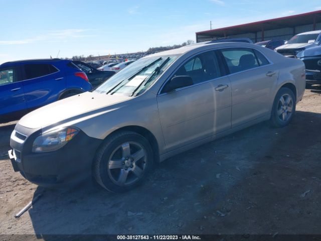 Photo 1 VIN: 1G1ZA5EUXBF299695 - CHEVROLET MALIBU 