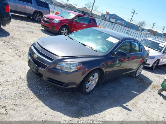 Photo 1 VIN: 1G1ZA5EUXCF358262 - CHEVROLET MALIBU 