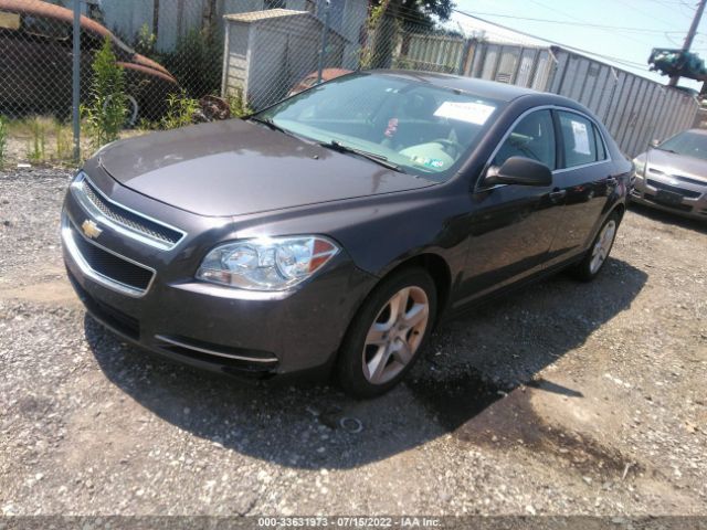 Photo 1 VIN: 1G1ZA5EUXCF371769 - CHEVROLET MALIBU 