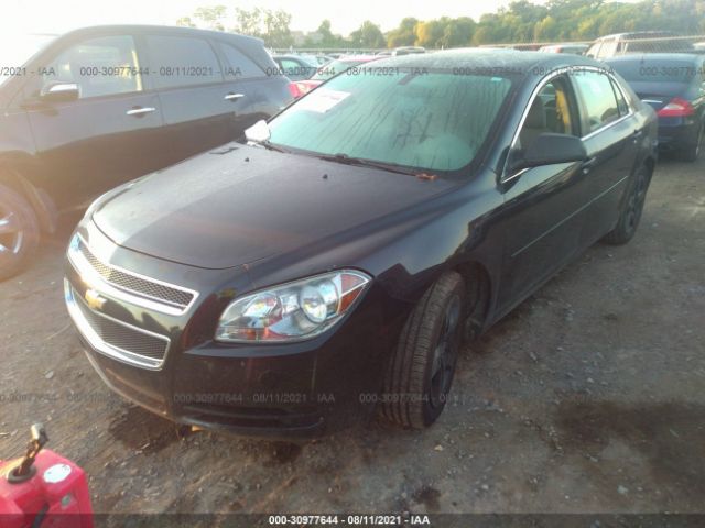 Photo 1 VIN: 1G1ZA5EUXCF388748 - CHEVROLET MALIBU 