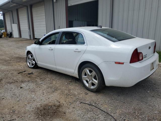 Photo 1 VIN: 1G1ZB5E00CF239274 - CHEVROLET MALIBU LS 