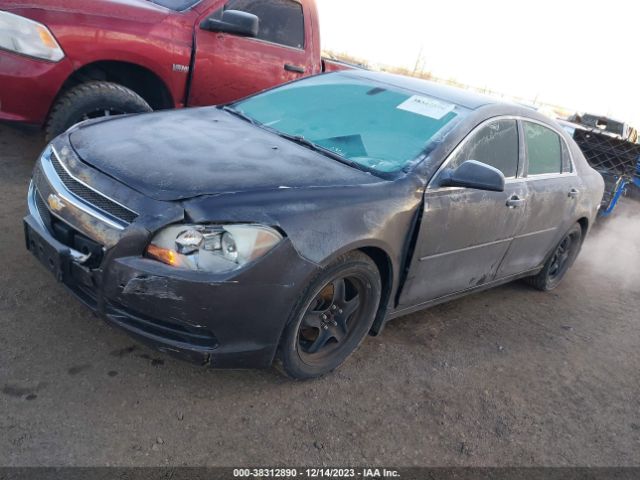 Photo 1 VIN: 1G1ZB5E00CF249058 - CHEVROLET MALIBU 