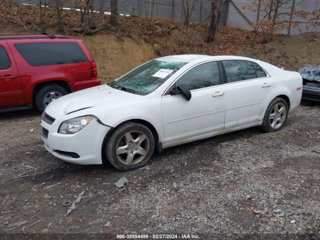 Photo 1 VIN: 1G1ZB5E01CF169347 - CHEVROLET MALIBU 