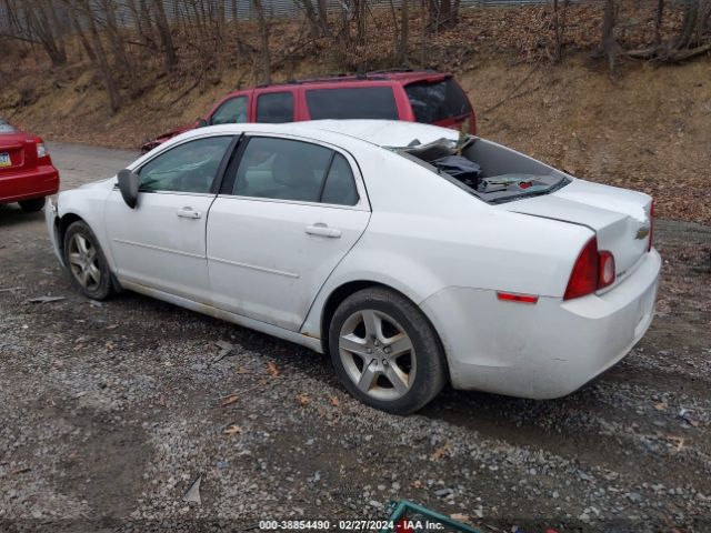 Photo 2 VIN: 1G1ZB5E01CF169347 - CHEVROLET MALIBU 