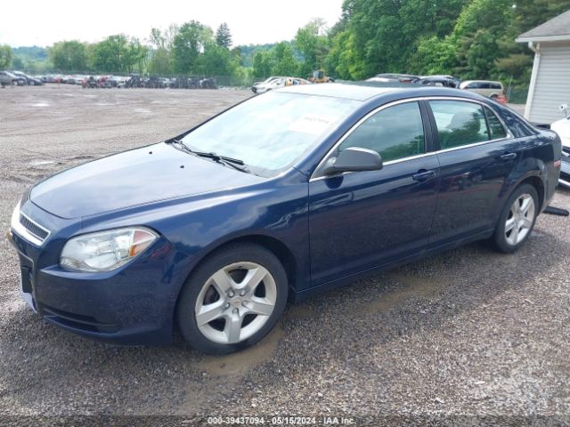 Photo 1 VIN: 1G1ZB5E02CF244671 - CHEVROLET MALIBU 