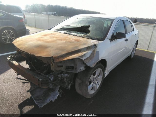 Photo 1 VIN: 1G1ZB5E03CF198719 - CHEVROLET MALIBU 